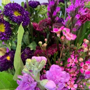 Meet your Posher, Liz